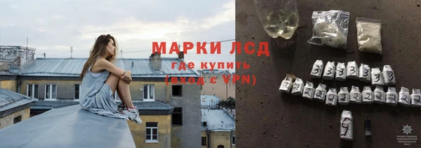 СК Покачи