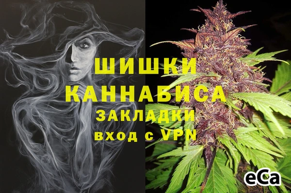 сатива Покров